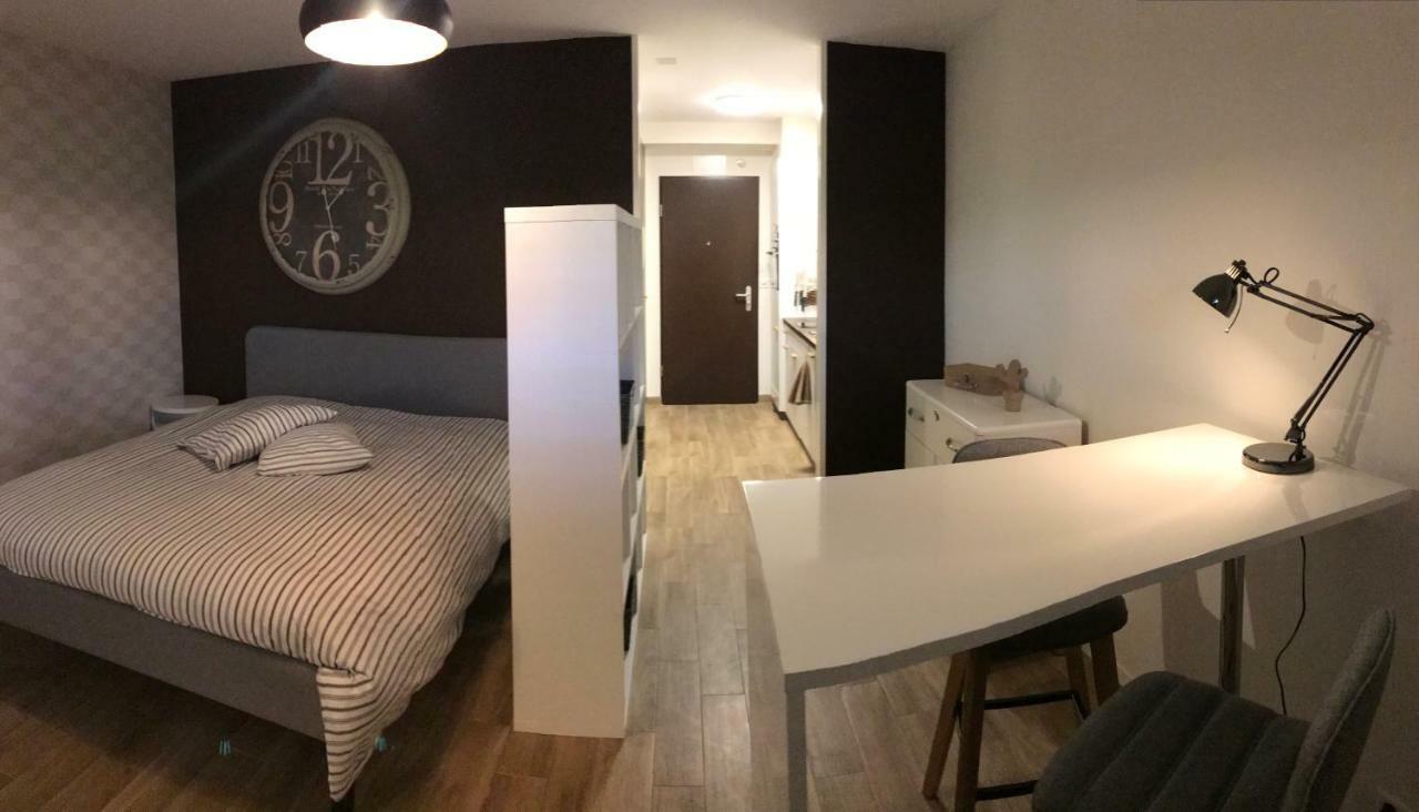 Large Studio Near Epfl And Lausanne City Center Ecublens  Buitenkant foto
