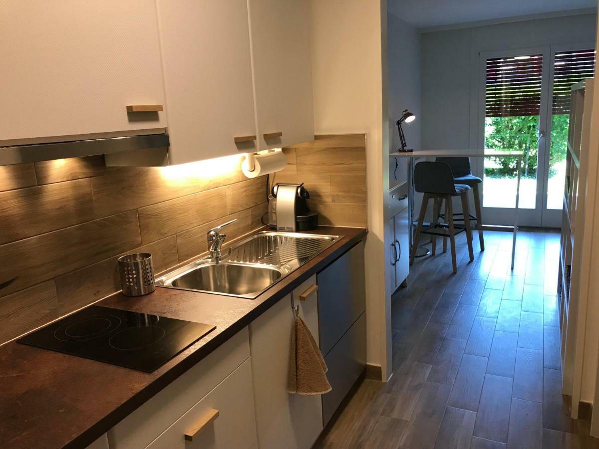 Large Studio Near Epfl And Lausanne City Center Ecublens  Buitenkant foto