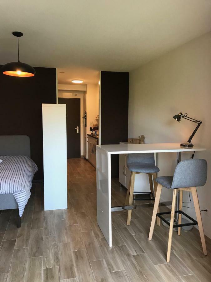 Large Studio Near Epfl And Lausanne City Center Ecublens  Buitenkant foto
