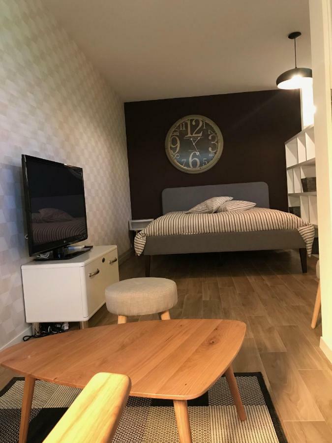 Large Studio Near Epfl And Lausanne City Center Ecublens  Buitenkant foto